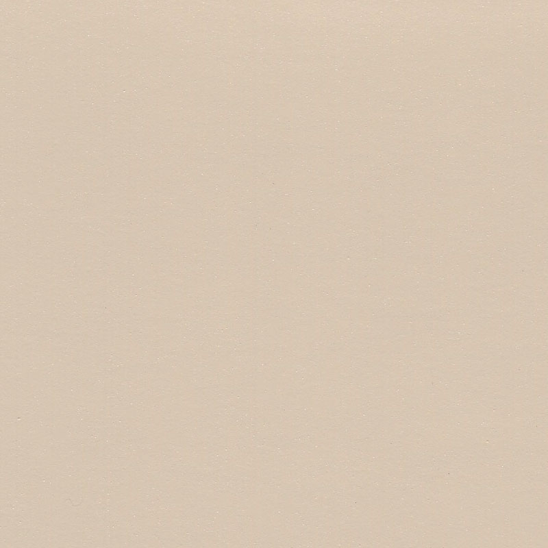 Beige Paint Color