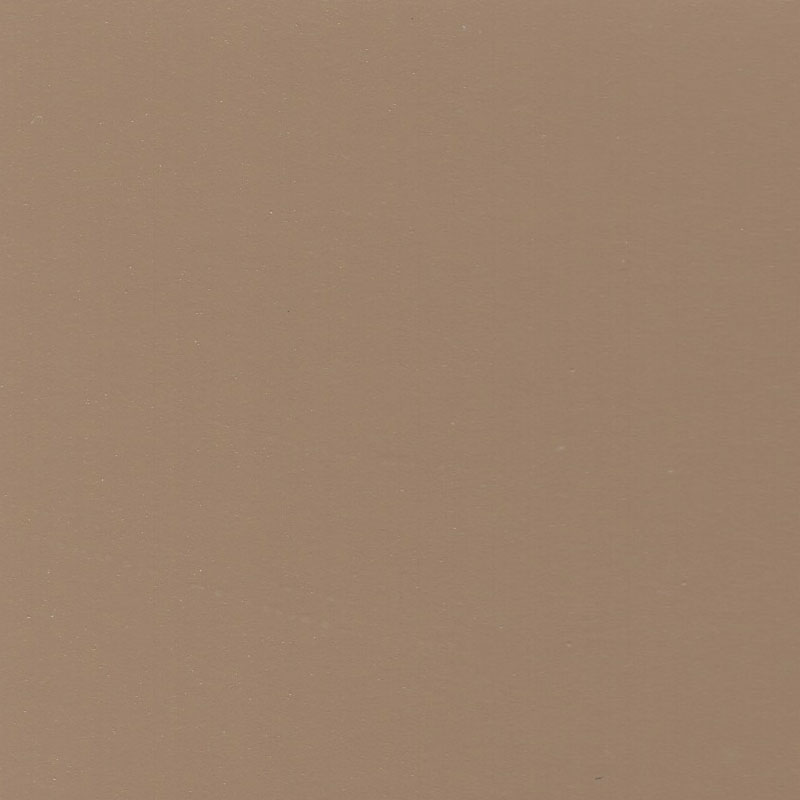 Sahara Tan Paint Color